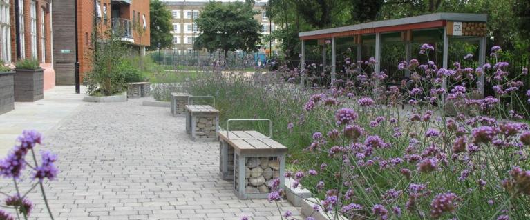 A range of sustainable drainage measures have been installed in Derbyshire Street pocket park, Tower Hamlets. These include green roofs, permeable paving, swales and rain gardens.