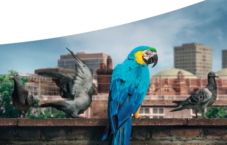 London Power Annual Review 2020-2021 front cover