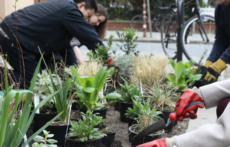 3 People kneeling down gardening