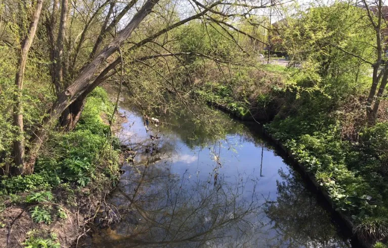 Ealing Brent river