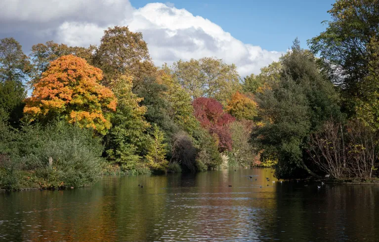 View of Victoria Park pond and trees