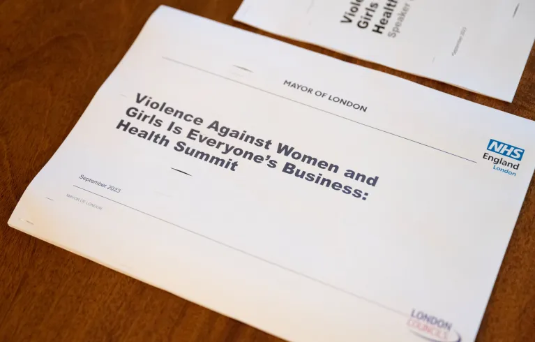 A pack of papers entitled, Violence Against Women and Girls is Everyone's Business
