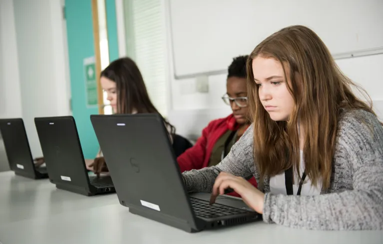 Young woman looking at laptop screen.