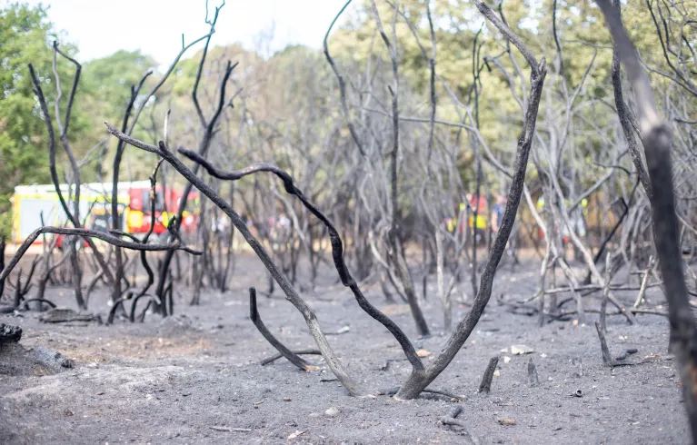 Leytonstone grass fire