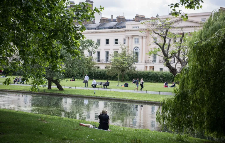 Person sitting on bank of river that runs through green park with trees