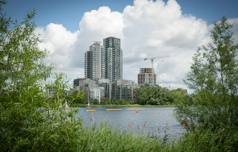 High-rise buildings are in the background of this image. They are on the banks of a reservoir which stretches towards the foreground of the picture. The picture has been taken from the opposite bank to the buildings, with two small, bushy trees to either side framing the buildings and water.