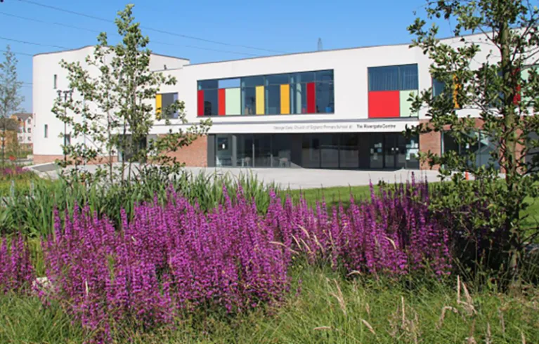 Barking riverside, purple flowers and a white building with colourful windows