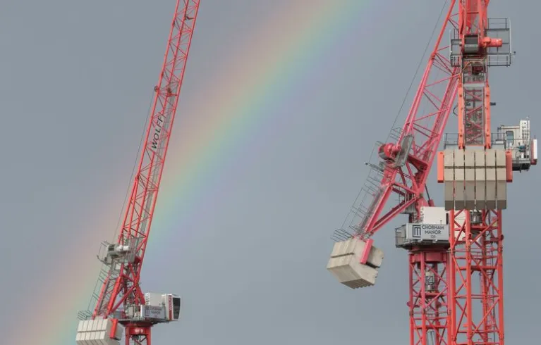 cranes and rainbow