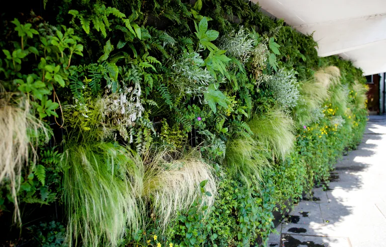 Green infrastructure