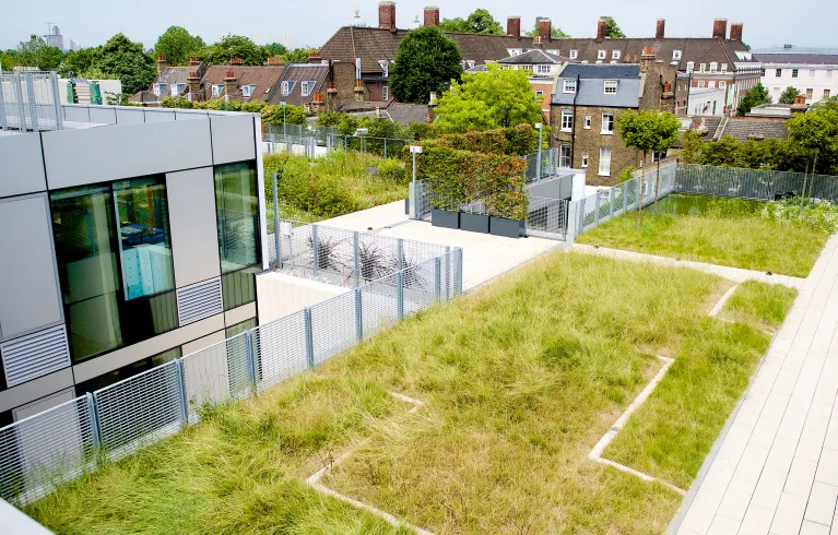 Green roofs