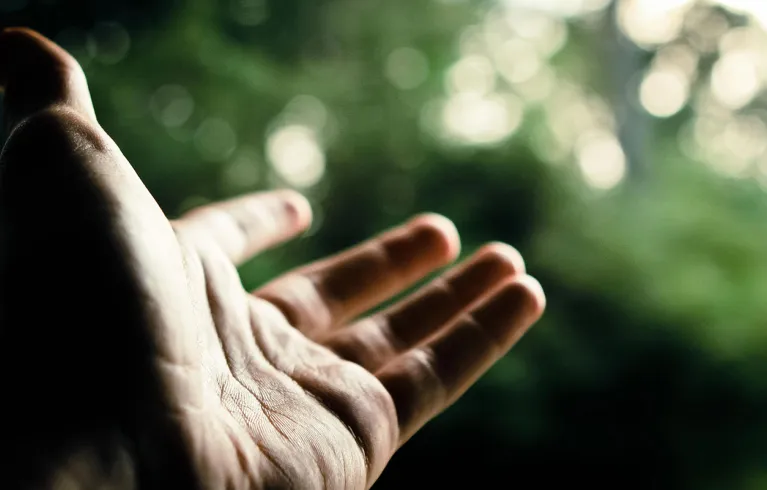 Hands end of life 2x1