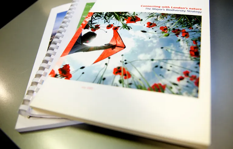 Mayor biodiversity strategy