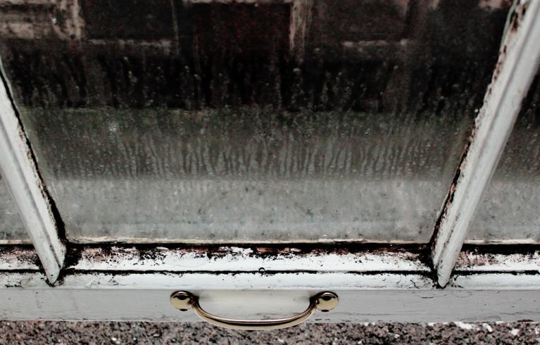 Condensation on a window