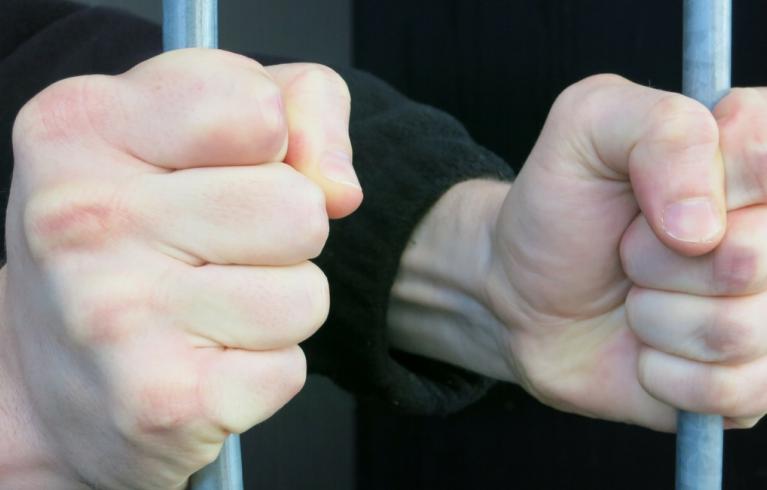 Offender mental health