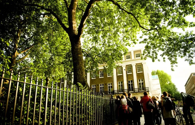 Trees in London