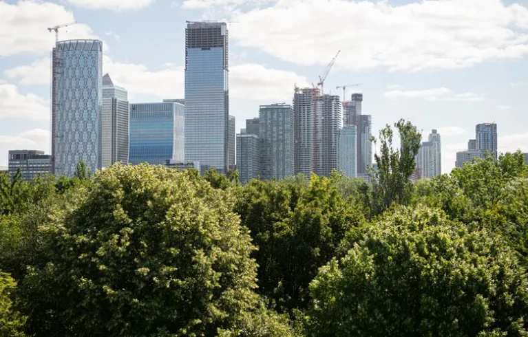 London Urban Forest Partnership