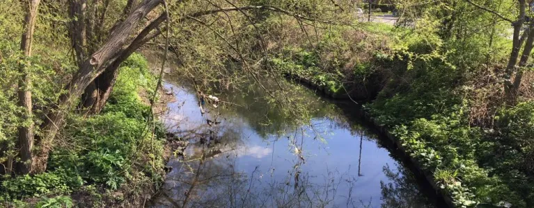 Ealing Brent river