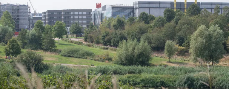 Hot weather in London