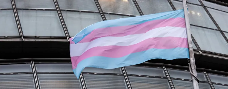 Transgender Flag
