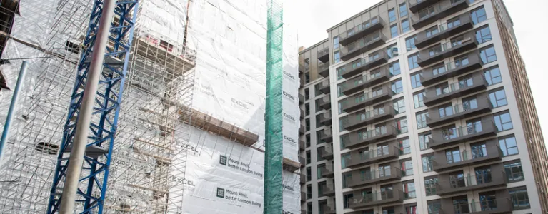 Affordable homes programme - Royal Eden Docks