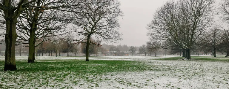 A frost covered area of grass in a London park.