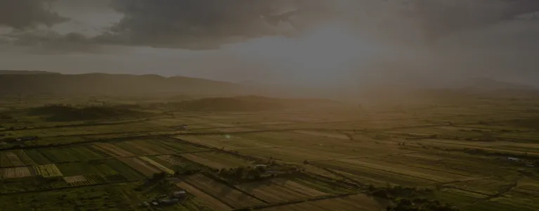 land