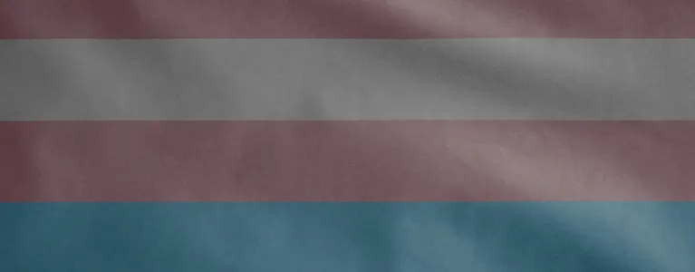 blue and pink and white flag