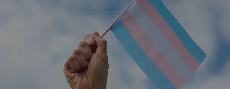 Trans flag in fist