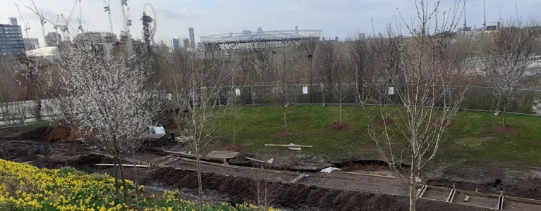Newly planted trees near London Stadium for the Blossoms campaign