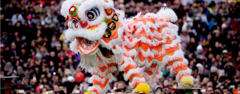 Chinese new year dragon
