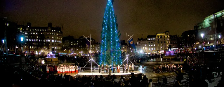 Christmas tree in Trafalgar Square