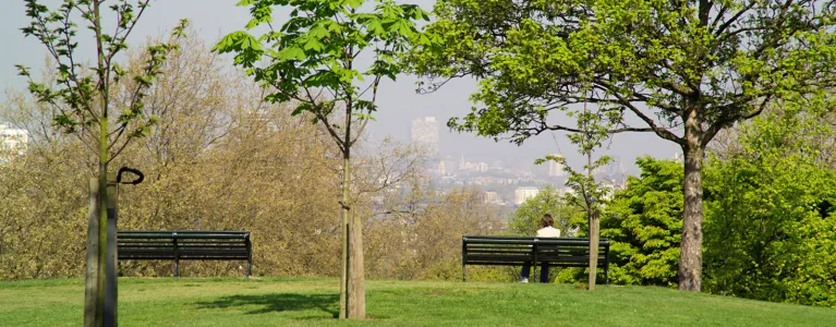 Greenwich Park