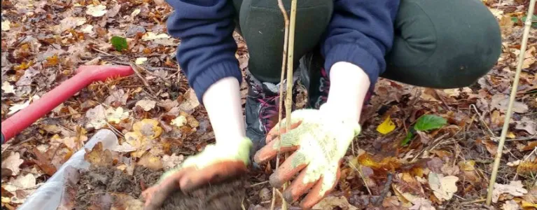 #PlantATree