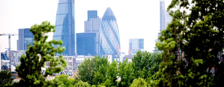 Green infrastructure