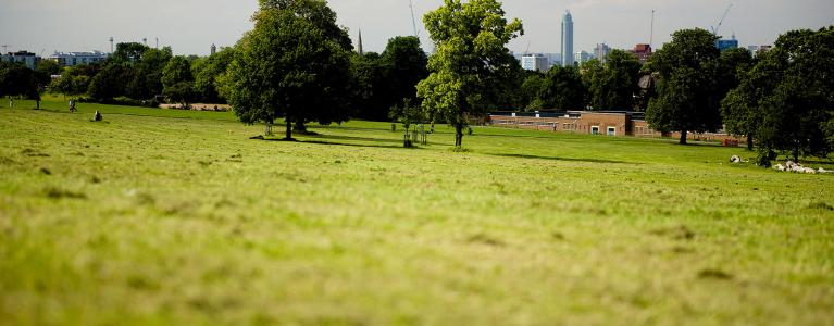 London park
