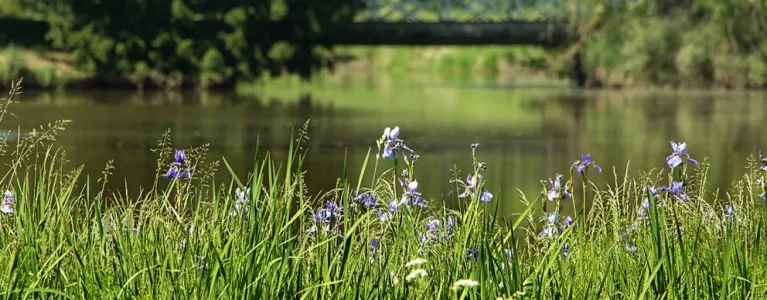 We're considering responses to the draft Environment Strategy consultation