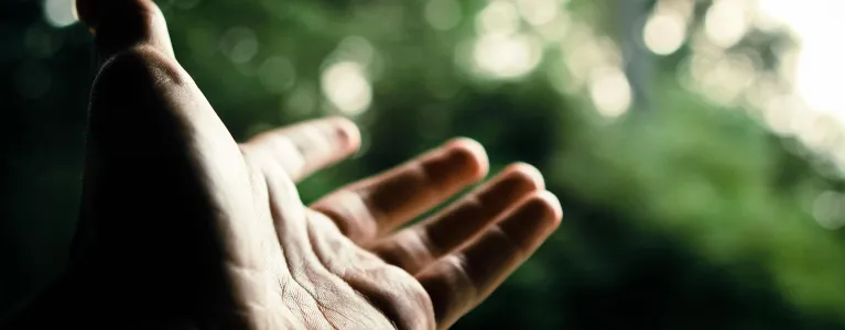 Hands end of life 2x1