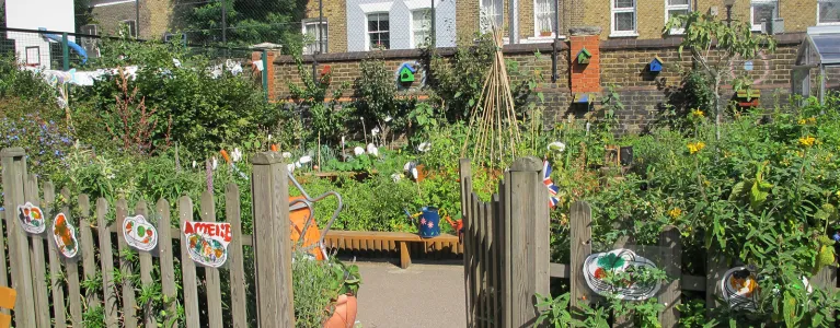 Garden