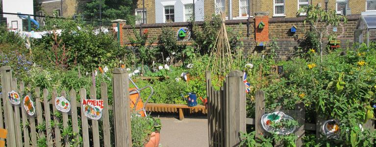 Garden