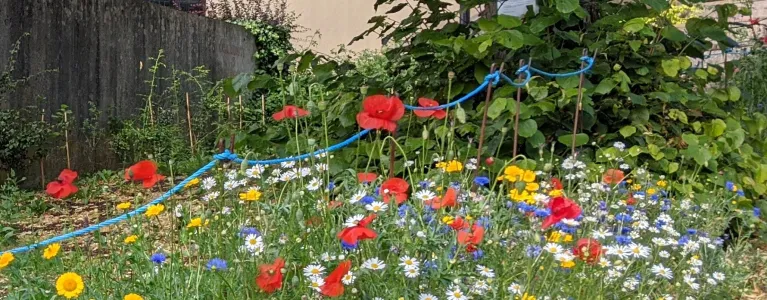 Haseley End and Talmage Close Greening Project