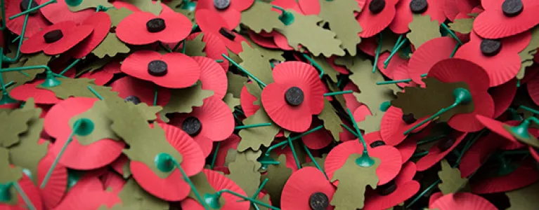 Poppies