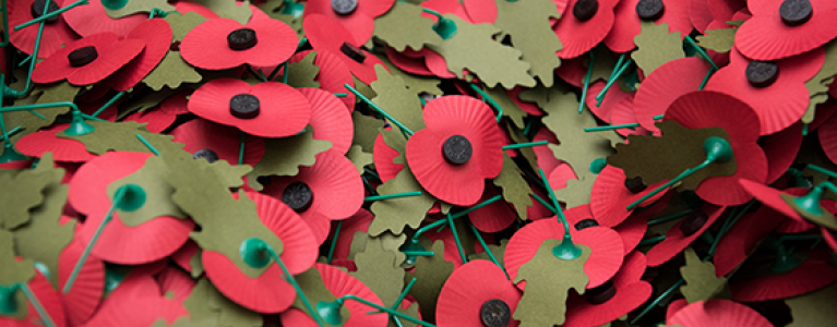 Poppies