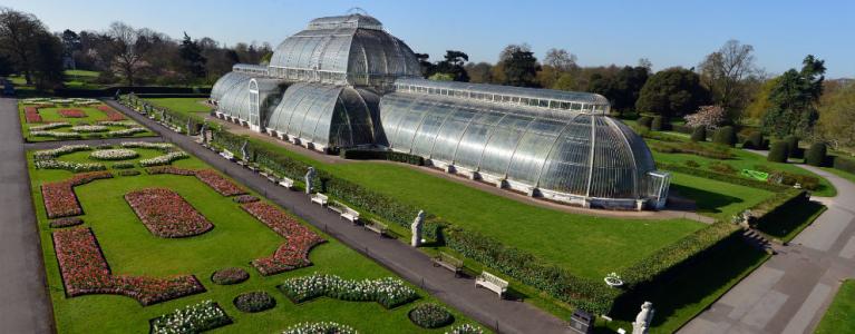 Palm House at Kew Gardens