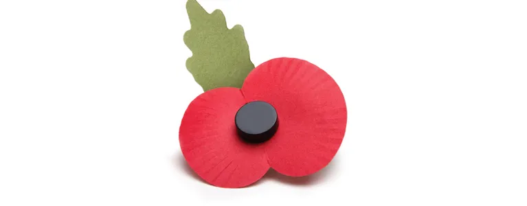 Red poppy badge for Remembrance Day