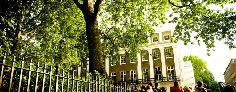 Trees in London