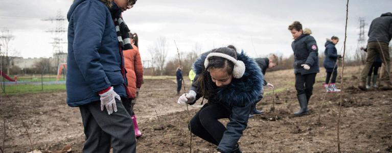 Tree planting in Enfield
