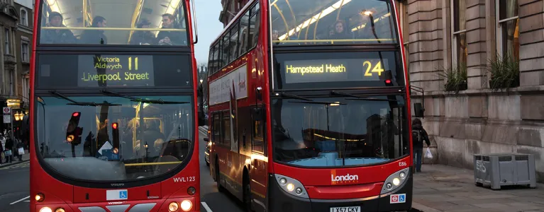 Two buses side by side