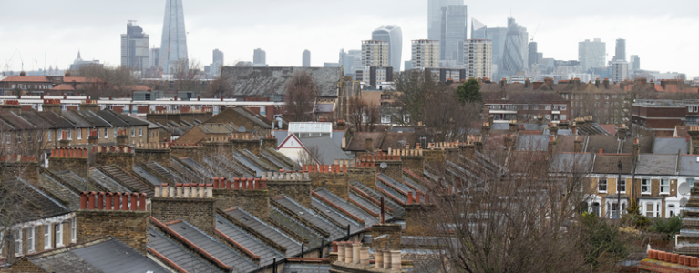 webimage-Peckham-Housing-Visit.png