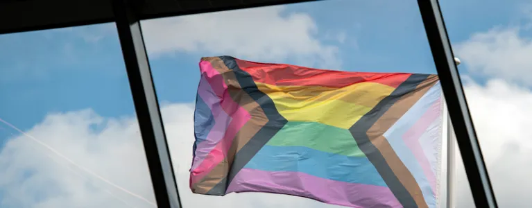 webimage-Pride-Fag.png