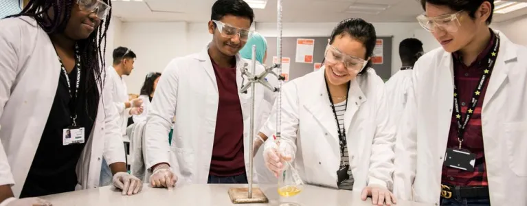 STEM studies